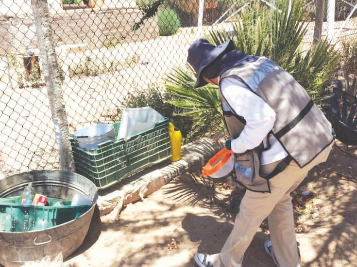 Tres colonias concentran la mayor presencia de mosquitos en Hermosillo: ¿vives en alguna?