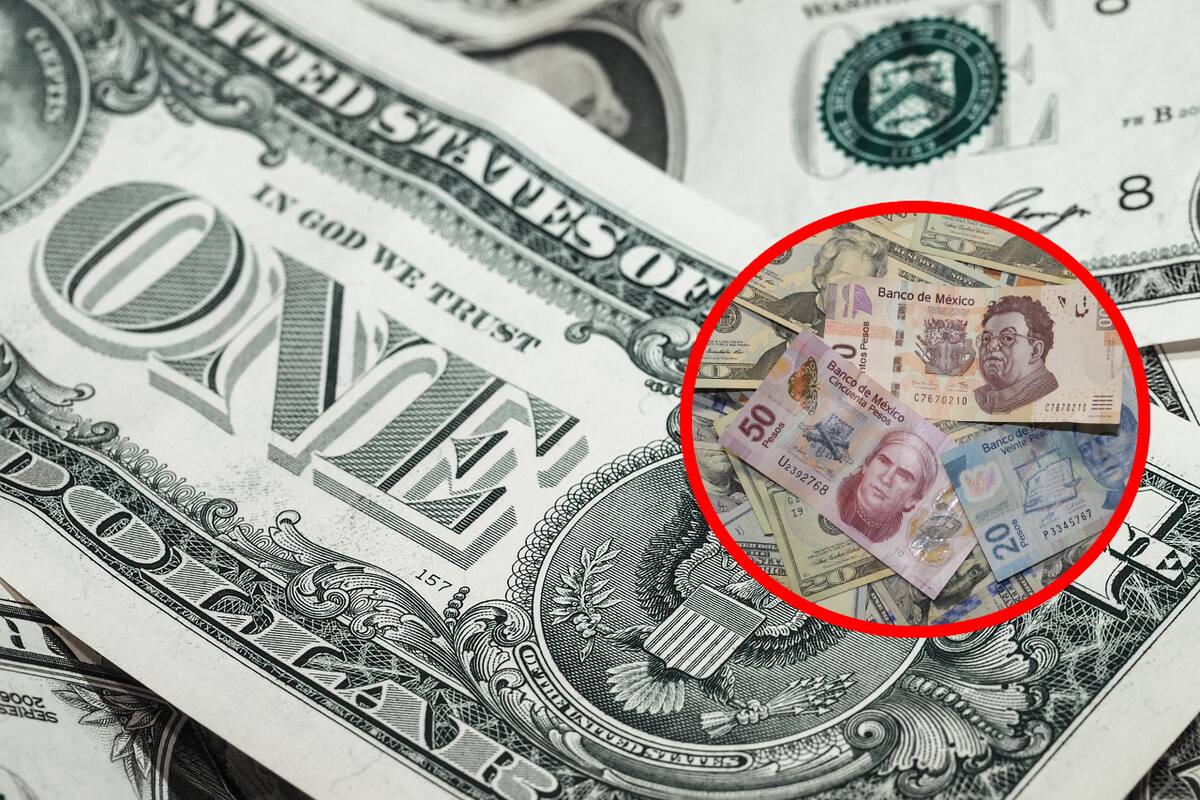 Sexta jornada de ganancias: Precio del dólar este 18 de febrero del 2025