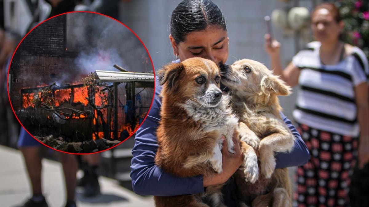Incendio consume vivienda de madera en colonia Altiplano; no registraron lesionados