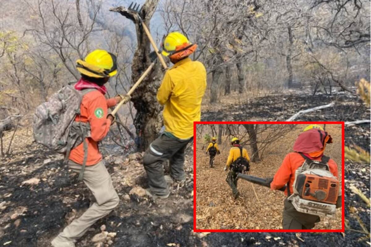 Gobierno de Sonora logra extinguir incendio en Bavispe tras más de un mes de labores