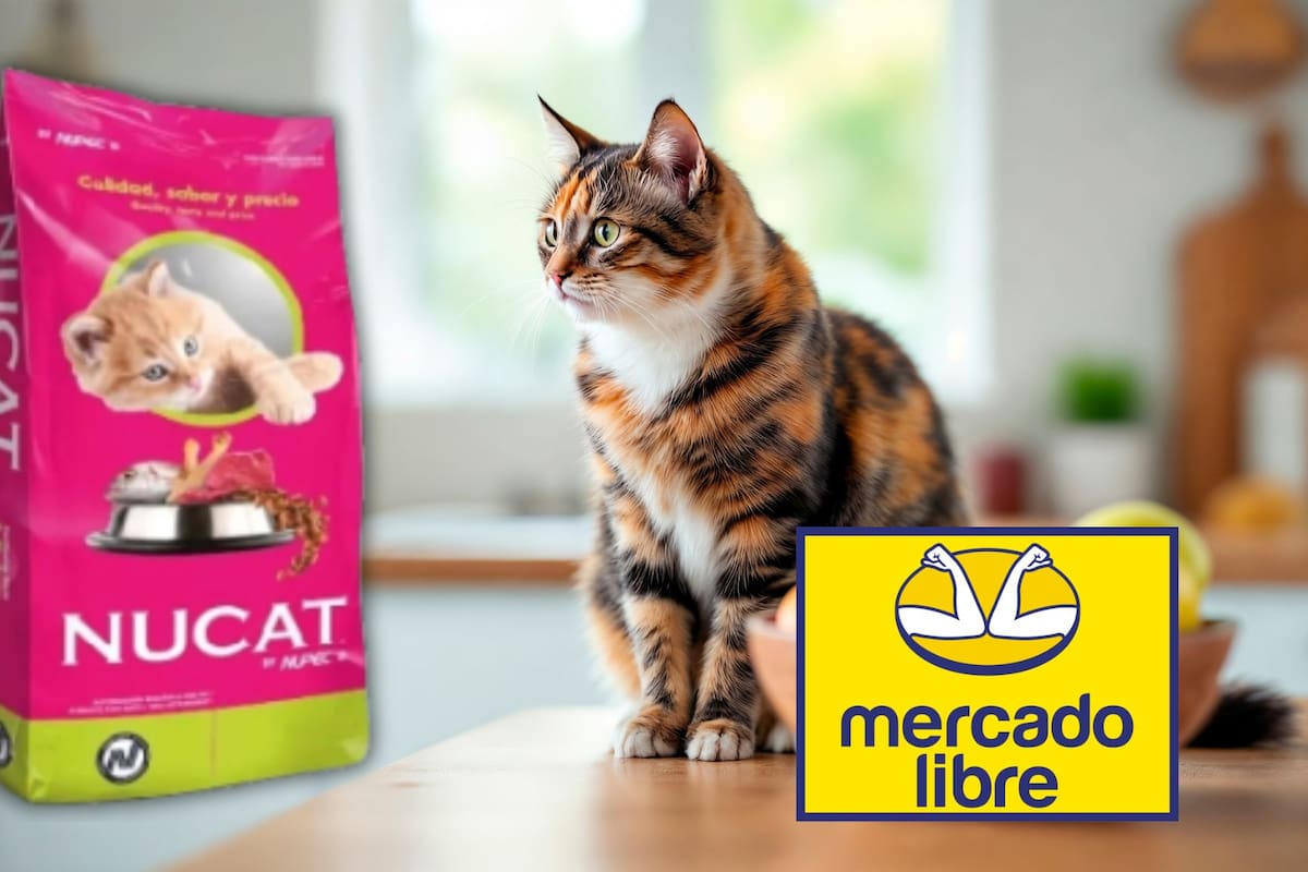 Aproveche el 10% de descuento en croquetas Nucat by Nupec de 2.7 kg que se venden por 350 pesos con envío gratis y opción de pago a meses sin intereses en Mercado Libre