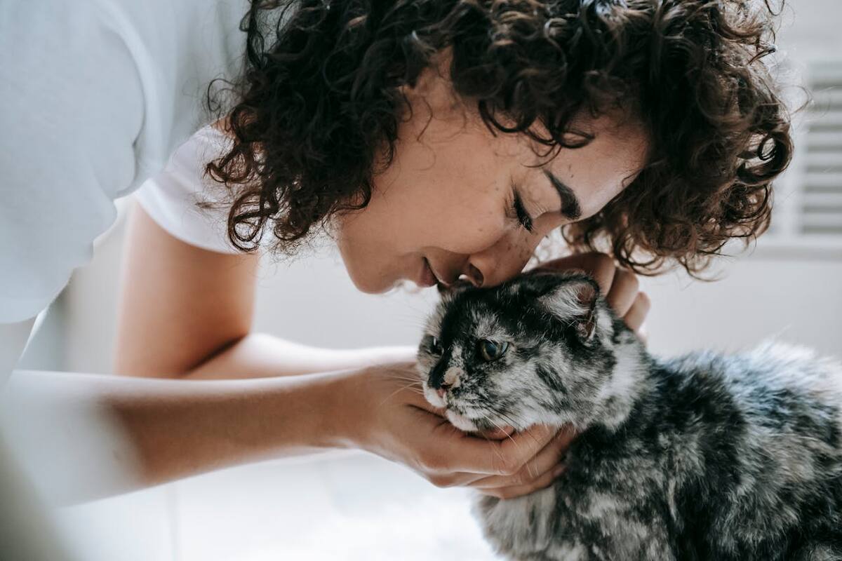 Esta propuesta permitiría a los empleados utilizar sus días de licencia por enfermedad para atender la salud de sus animales.