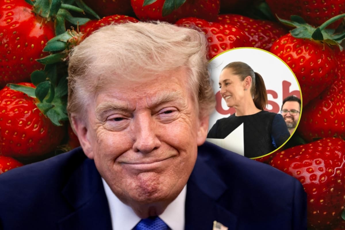 Estados Unidos avanza hacia posible arancel antidumping contra la fresa mexicana tras detectar márgenes de hasta 5.28%, una medida que podría afectar a casi 5 mil productores y 151 mil trabajadores en México