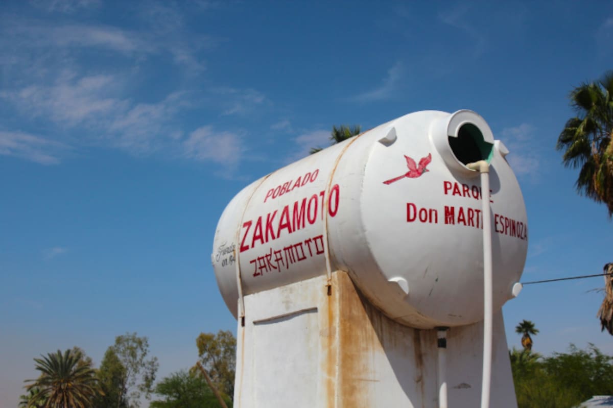 Said Morones/Javier Gallegos