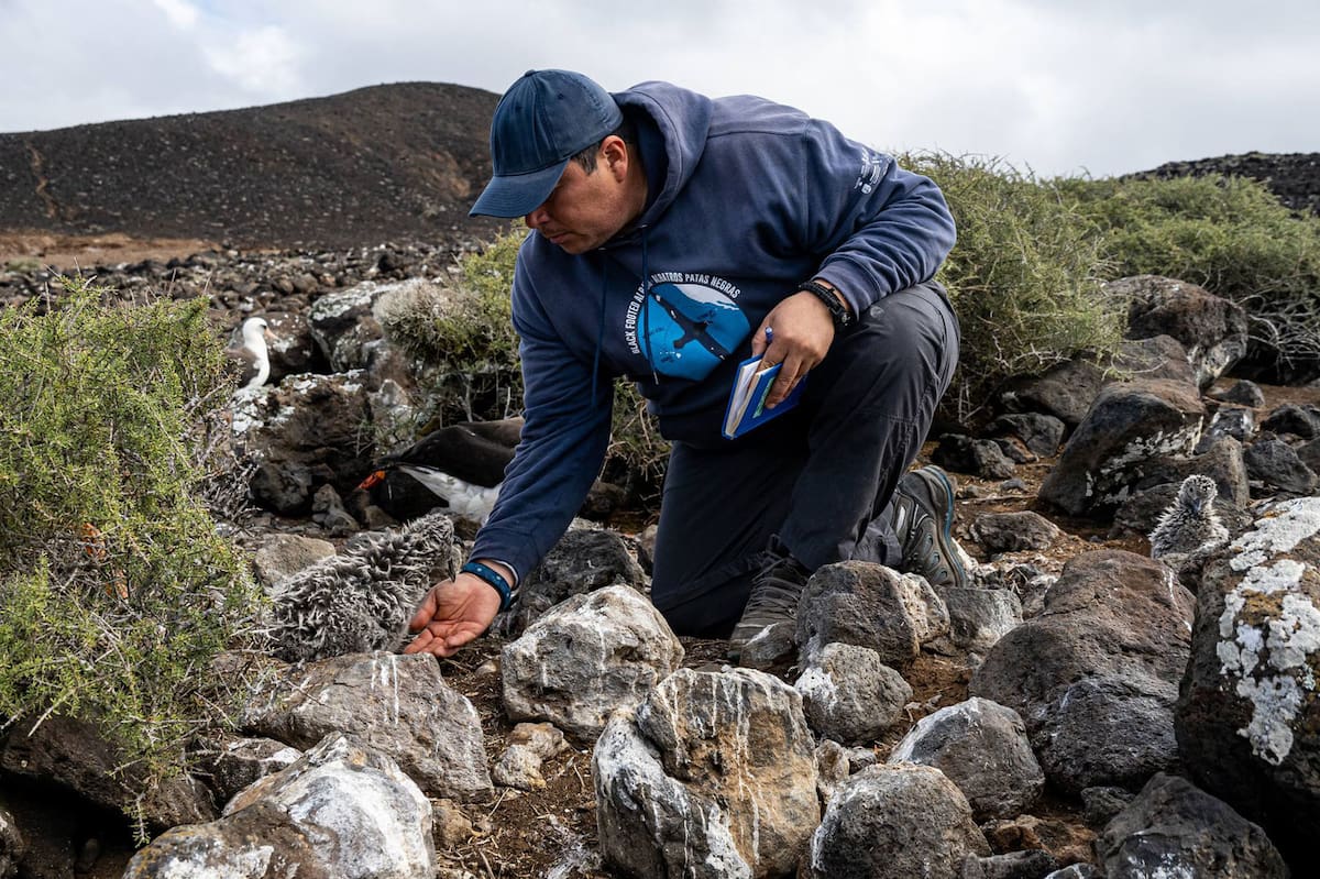 Las islas, islotes, arrecifes, cayos y rocas que hay en México en conjunto suman un área de poco más de 5 mil kilómetros cuadrados.