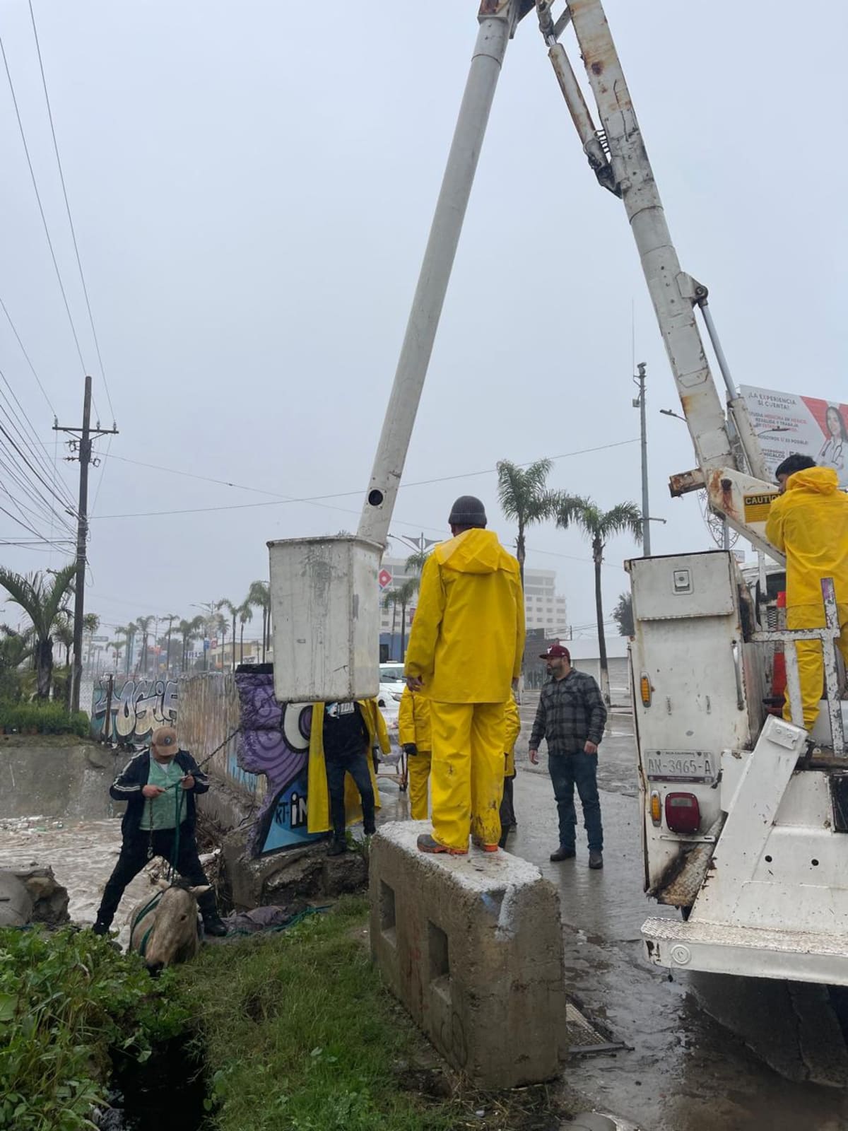 Foto: Carmen Gutiérrez