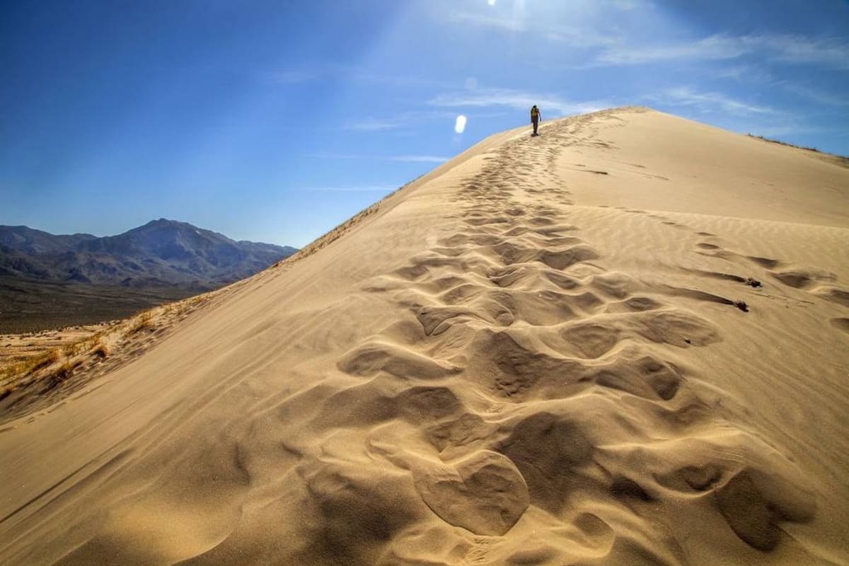 Las Dunas de Kelso una aventura en el desierto en California