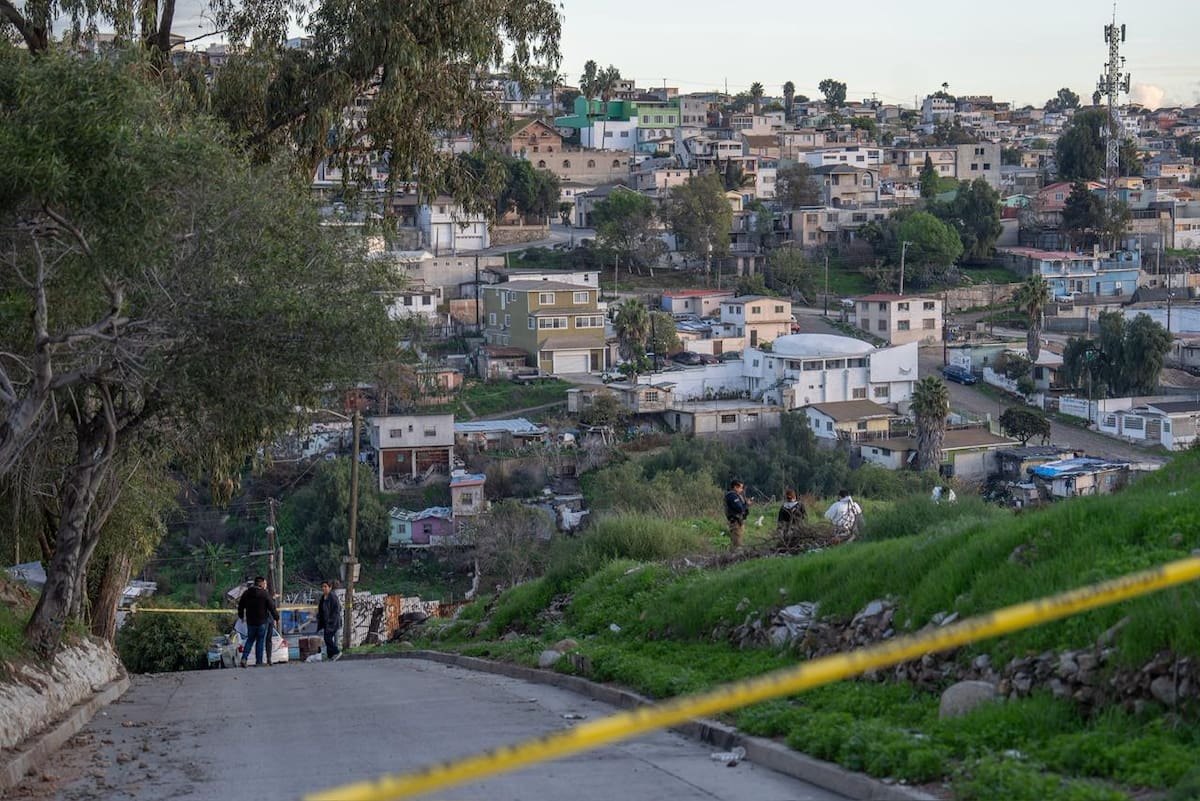 Elementos de la Fiscalía General del Estado localizaron los restos de una perrita presuntamente víctima de maltrato animal. Foto: Border Zoom