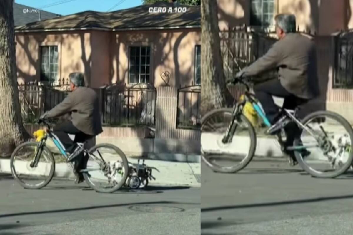Hombre conmueve y se vuelve viral al pasear en bicicleta acompañado de su perrito paralítico en silla de ruedas