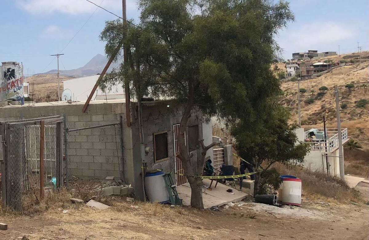 A las afueras de la propiedad quedaron restos de los perros asesinados.