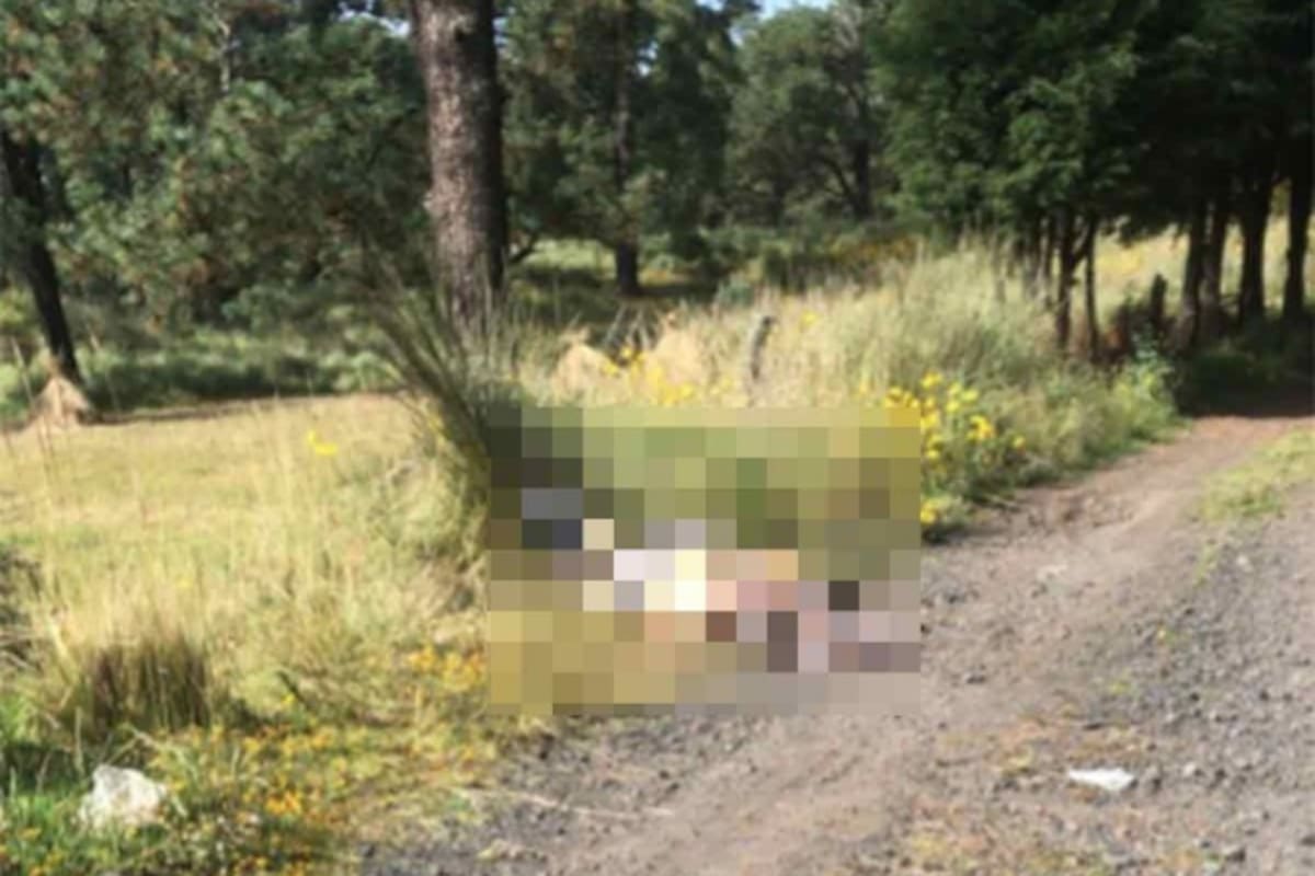 Hallan en Tlapan dos cuerpos de hombres