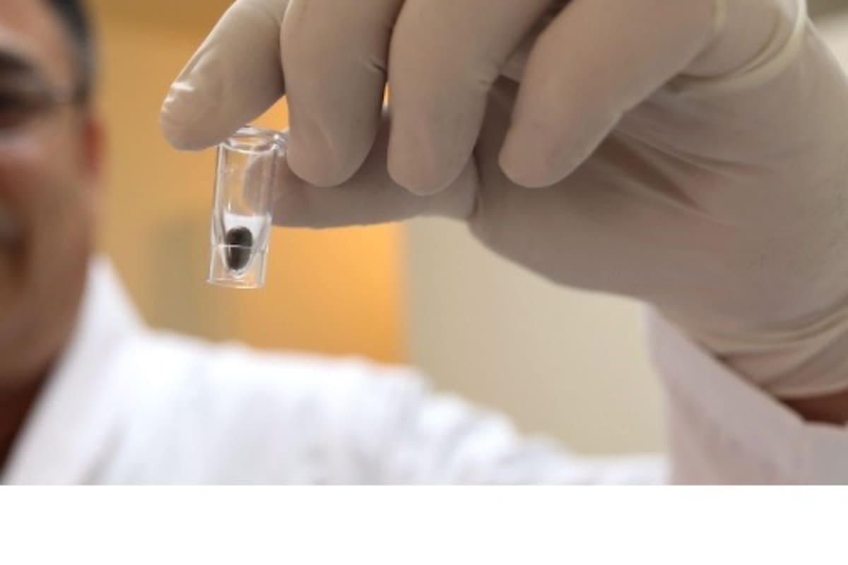 BC registra 28 fallecimientos por rickettsia durante 2026; autoridades alertan detección temprana