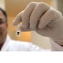 BC registra 28 fallecimientos por rickettsia durante 2026; autoridades alertan detección temprana