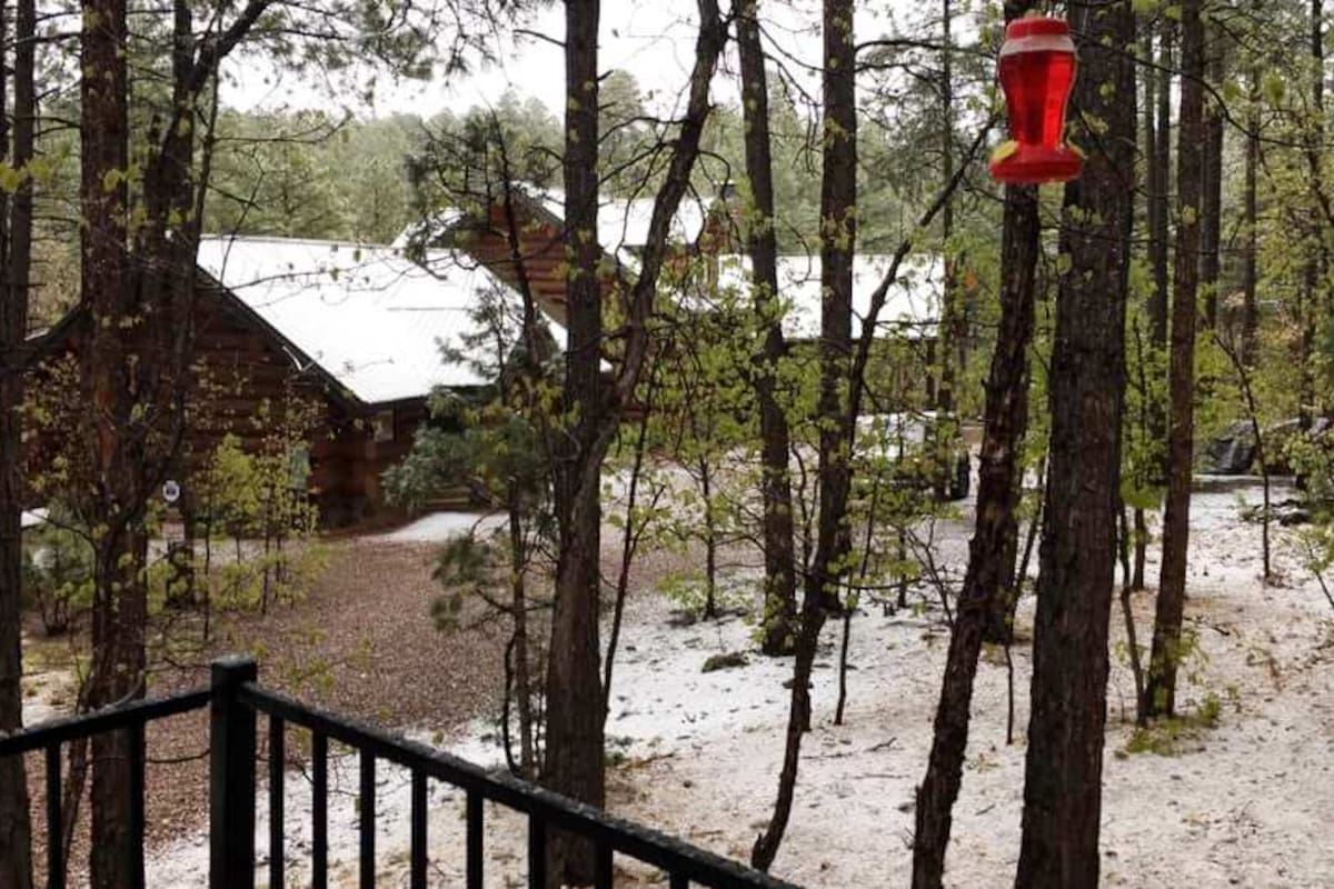 Cae nevada en algunas áreas de Arizona
