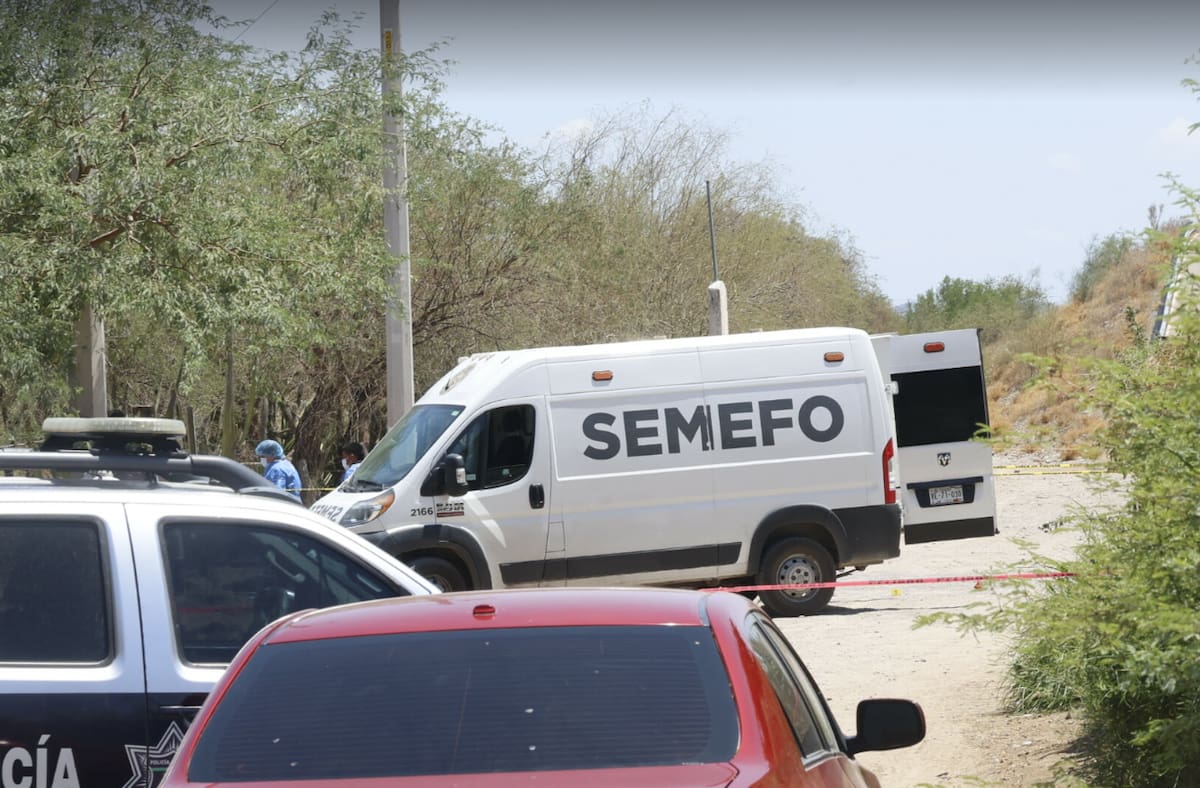 Imagen por Teodoro Borbón.