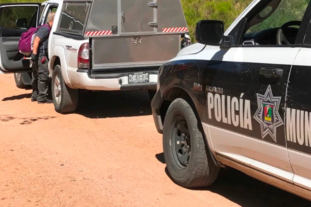Asesinatos en Nogales: Perros cargaban piernas y brazos de una persona