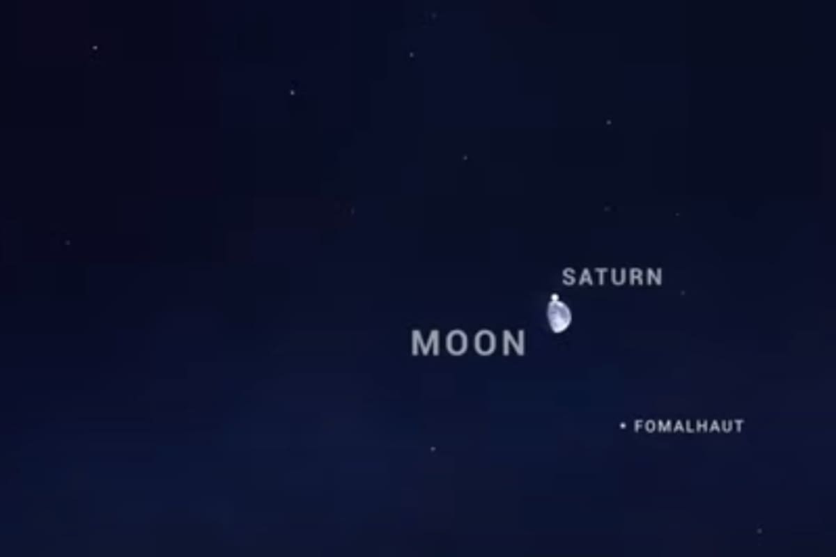 Eventos astronómicos de noviembre: Esto se podrá observar en el cielo nocturno