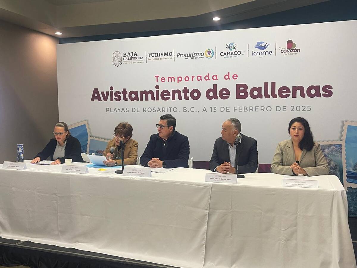 En la conferencia de prensa estuvieron presentes el secretario de Turismo, Miguel Aguíñiga Rodríguez; la presidenta del Instituto de Investigación Científica de Mamíferos Marinos de Ensenada (Icmme), Denise Luminski Jinich; el director de Pro Turismo de Ensenada, Marco Antonio Carrillo; la directora de Caracol Museo de Ciencias, Julia Bendímez, así como Perla Mendoza, representante de Embarcaciones Turísticas de Ensenada.