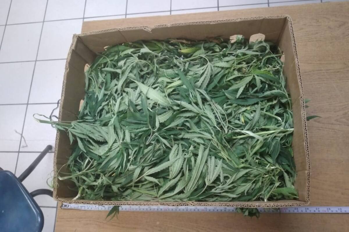 Cargaba una caja con mariguana