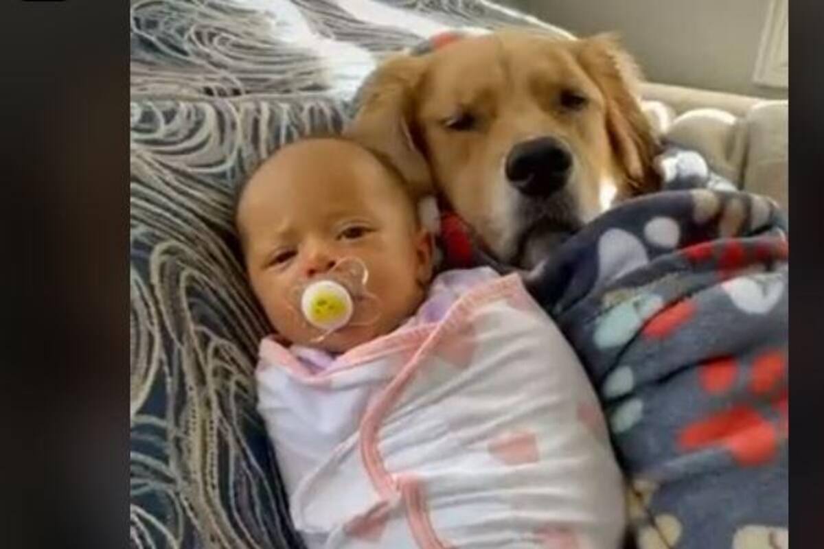 VIDEO: Bebé se vuelve inseparable de la mascota de sus padres