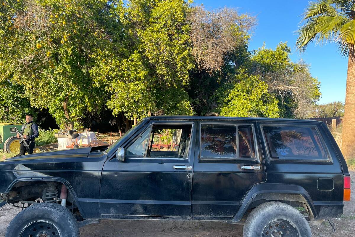 Recuperan autos robados tras cateos