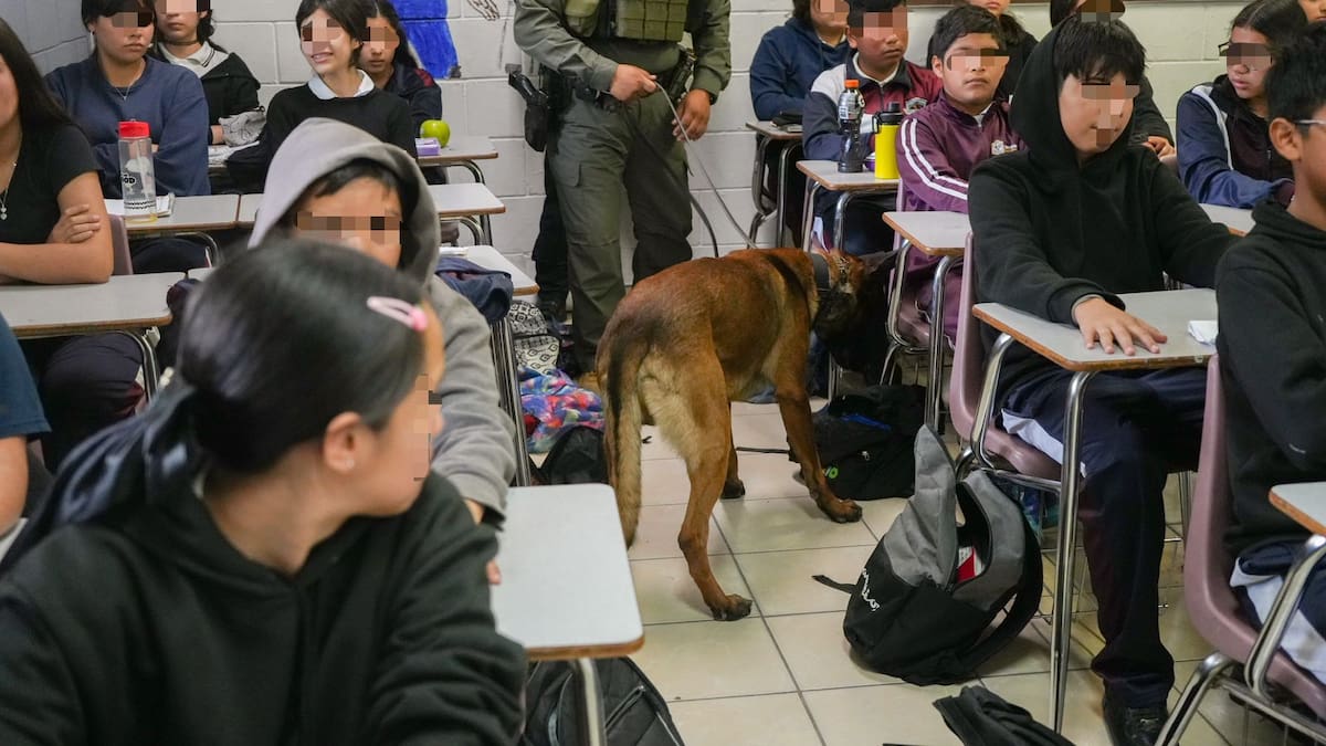 De octubre de 2024 a junio 2025, se han realizado 84 intervenciones en escuelas primarias, secundarias y preparatorias.