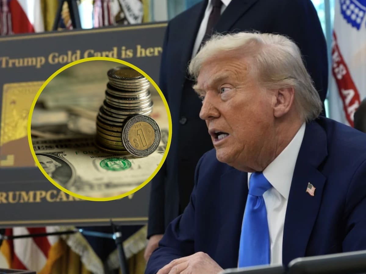 Dólar vs Peso mexicano: ¿En cuánto cotiza hoy su tipo de cambio? | Crédito: AP/Canva