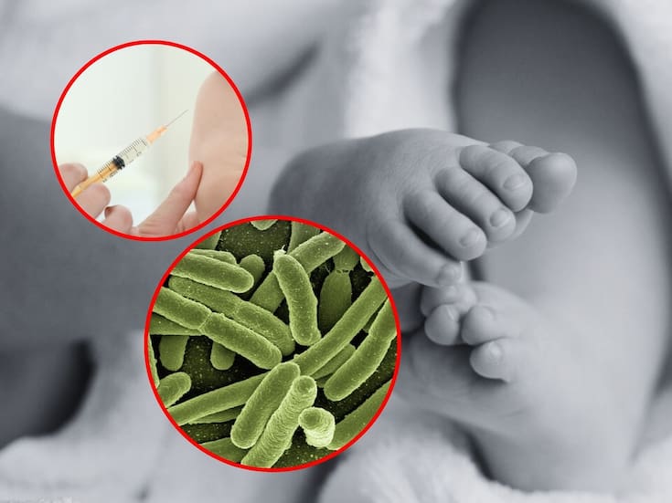 Bebés, las principales víctimas mortales: aunque el sarampión y la tos ferina se pueden prevenir, México terminó 2025 con miles de contagios y muertes