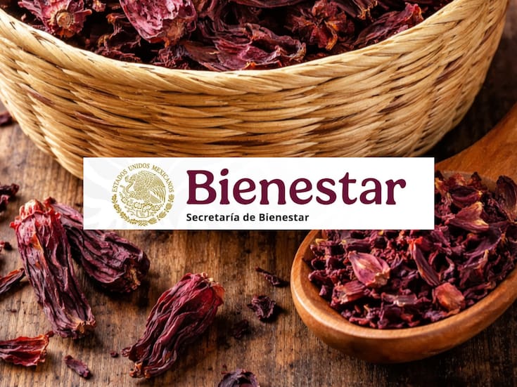 Claudia Sheinbaum anunció que impulsará la producción de jamaica en Guerrero, dentro de Alimentación para el Bienestar, con compras a precio justo, apoyo directo a productores y sin intermediarios