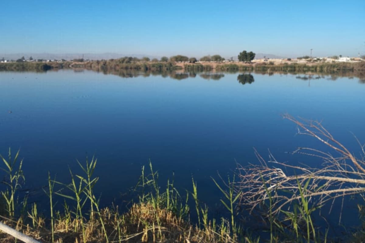Clima Mexicali: Será una Semana cálida y mayormente soleada
