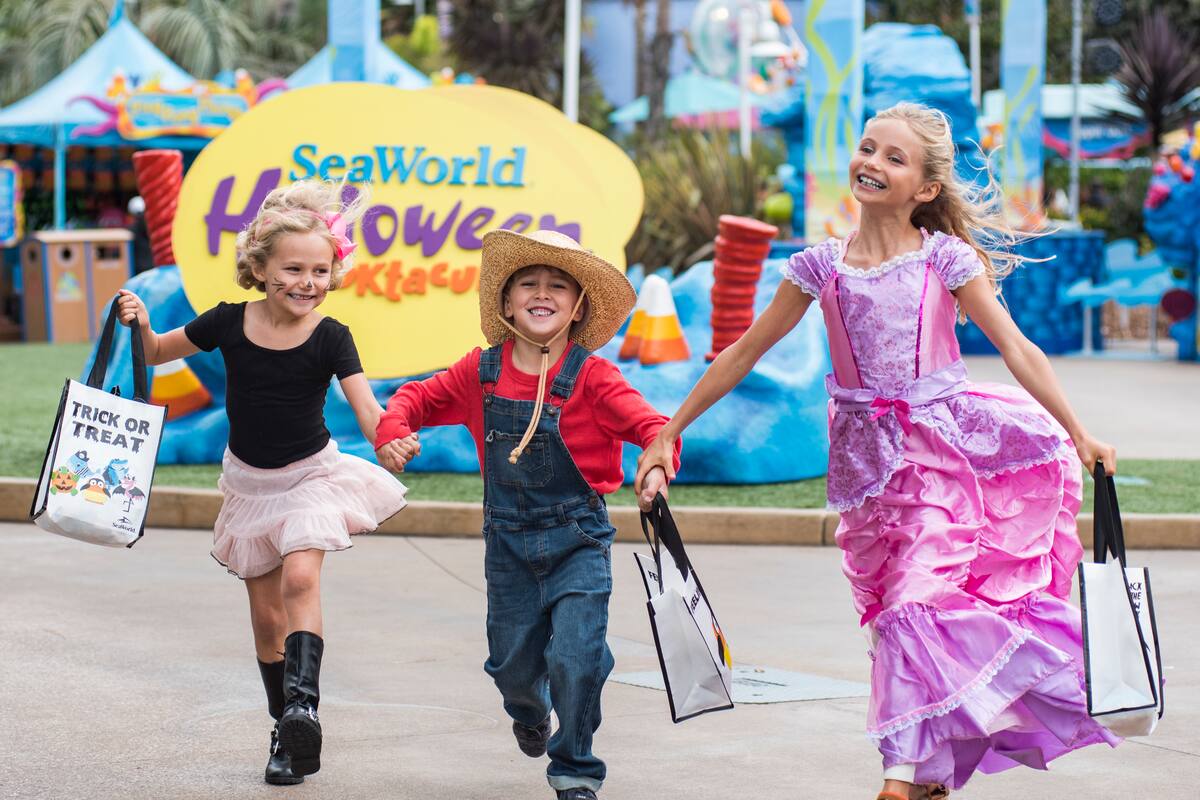 SeaWorld se prepara para Halloween