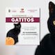 Se suspenden adopciones de gatos en México durante octubre ante riesgo de que sean utilizados en presuntos sacrificios o actos de crueldad relacionados con las celebraciones de Halloween y Día de Muertos