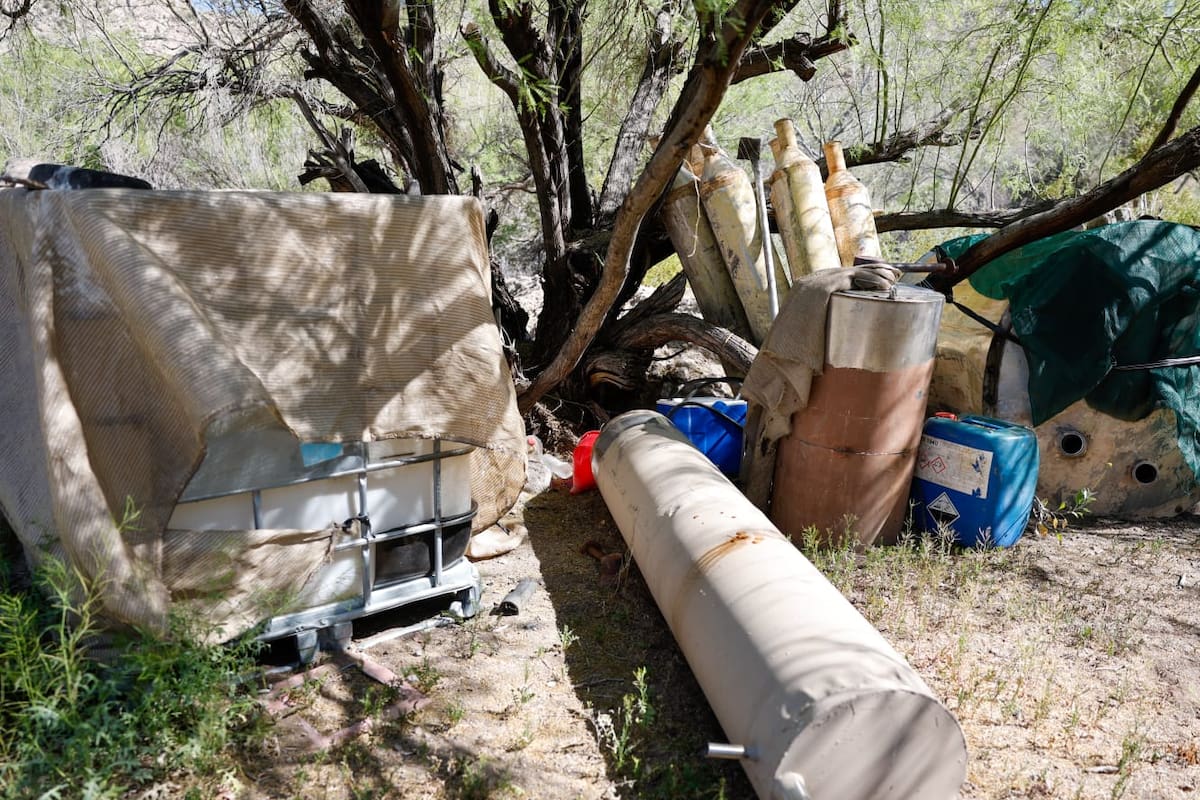 Desmantela FESC 9 narcolaboratorios en el estado