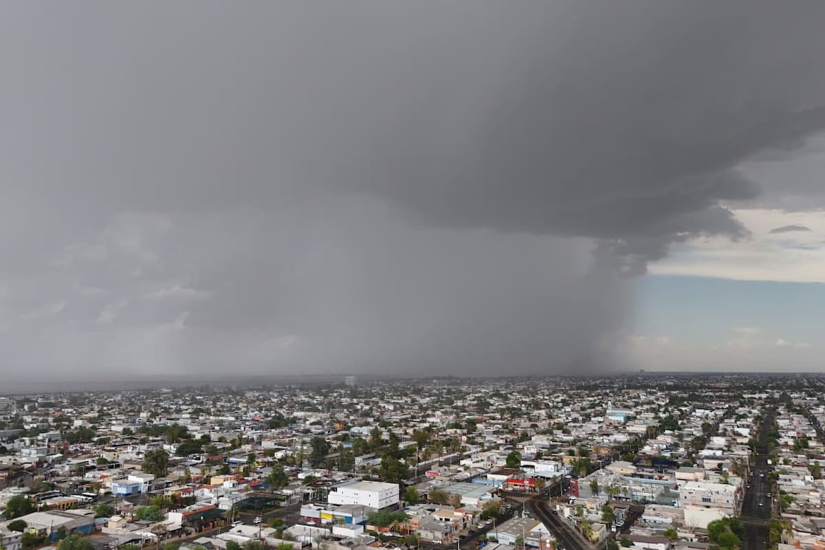 Tormenta eléctrica provoca apagones, caída de postes y árboles en Mexicali
