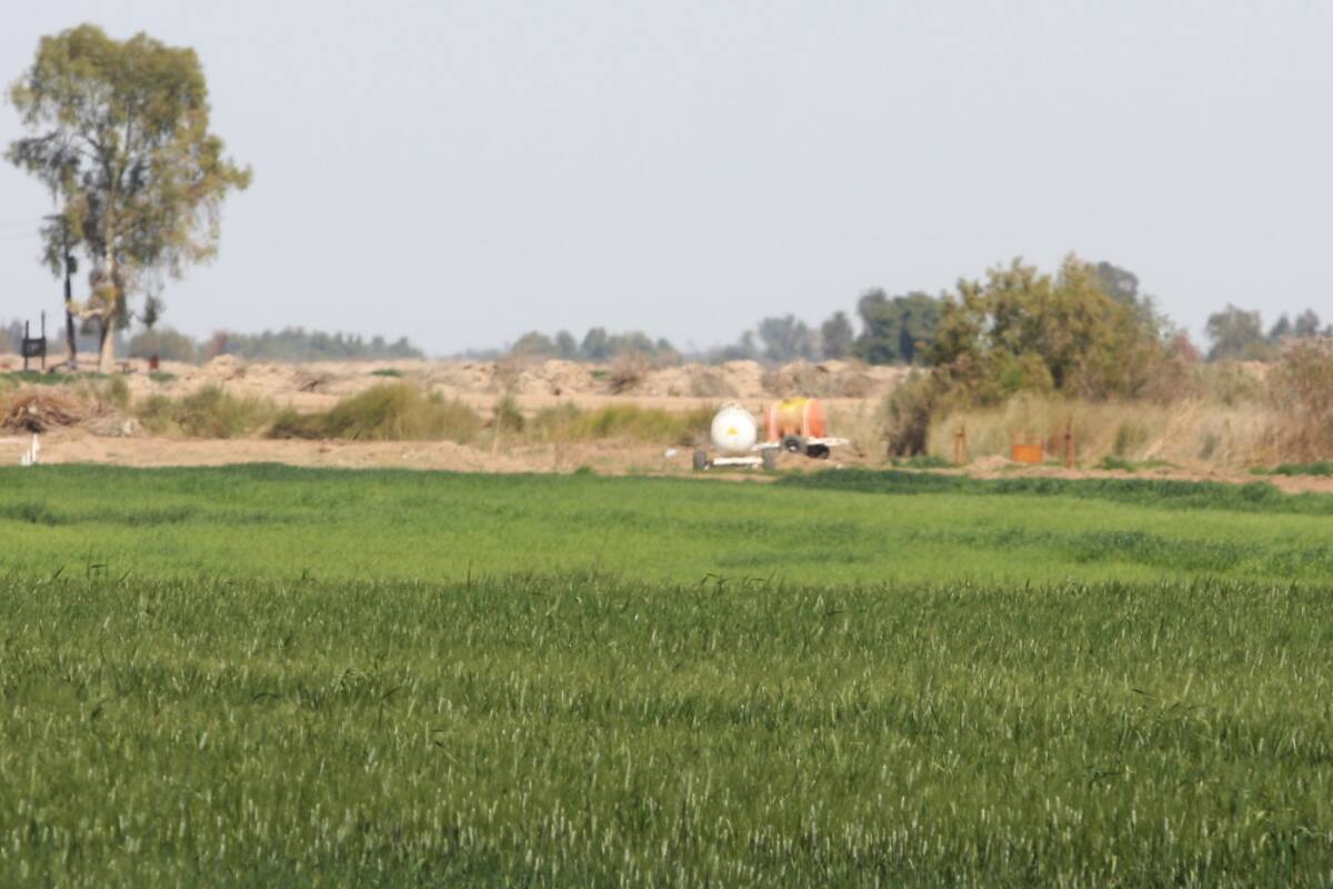 Apuntan a la autosuficiencia en fertilizantes para reducir costos agrícolas