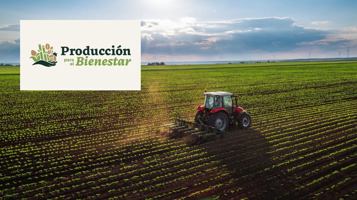 Este programa otorga apoyos, según el tipo de producto y número de hectáreas con el que cuente