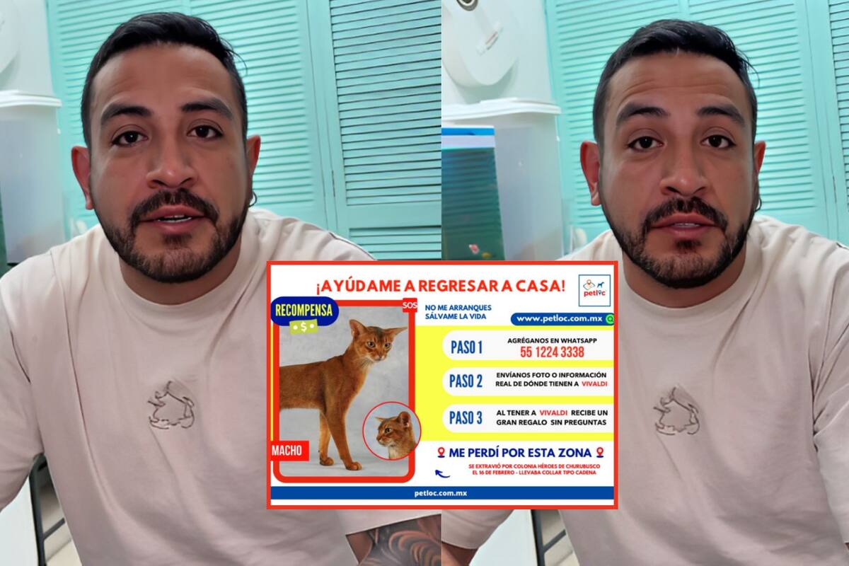 Luis Fernando Peña pide ayuda para encontrar a su gato extraviado; ofrece recompensa