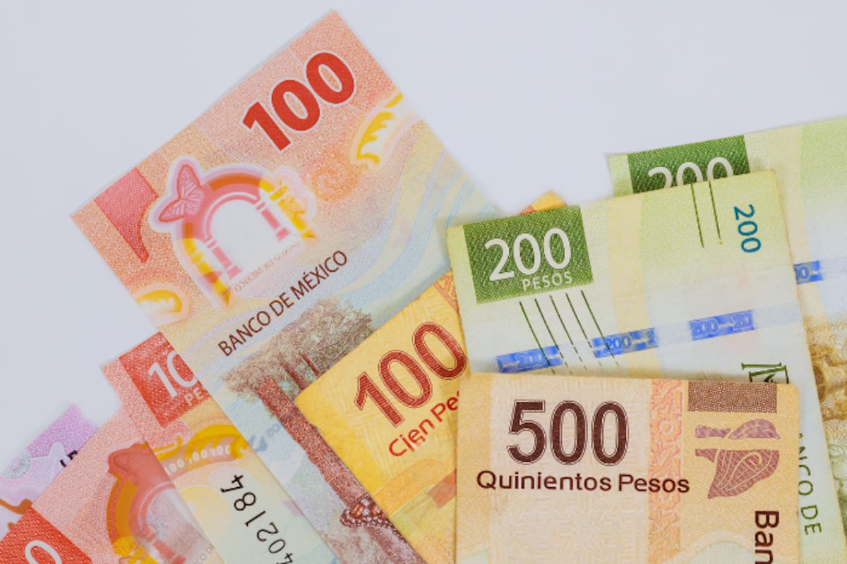 Hacienda reporta que ingresos por recaudación de impuestos crecen 3.3% en primeros siete meses de 2025