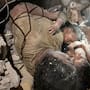 Madre venezolana habría sobrevivido 11 días bajo los escombros alimentando a sus tres hijos con leche materna