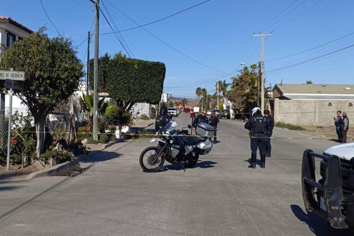 Fallece un hombre tras caer de un árbol en Rosarito