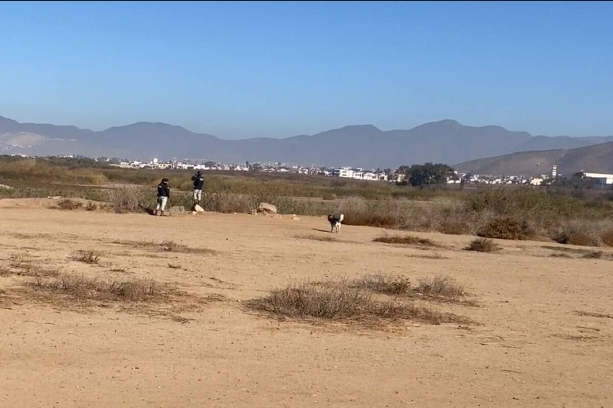 Localizan cuerpo de mujer con signos de violencia cerca de La Lagunita