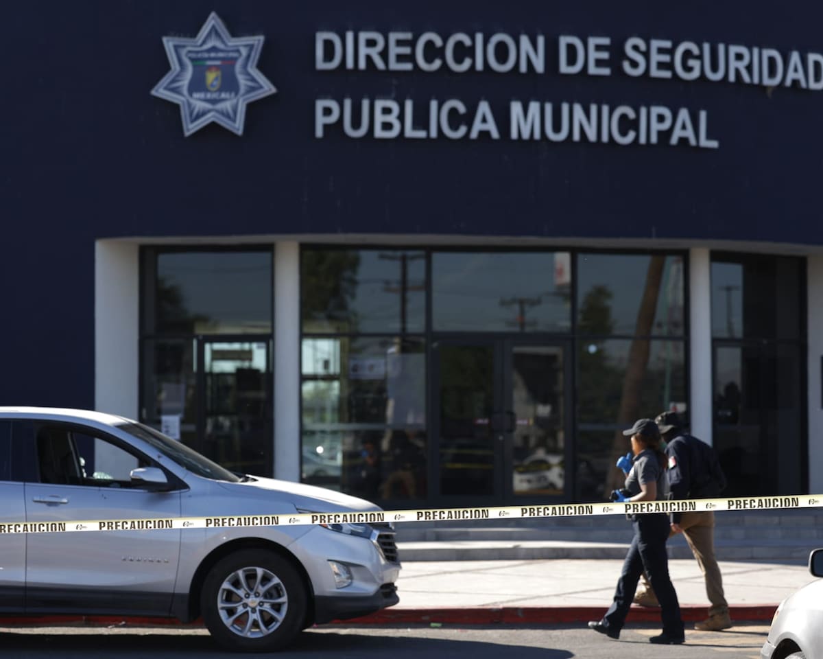 (Foto: Javier Gallegos)