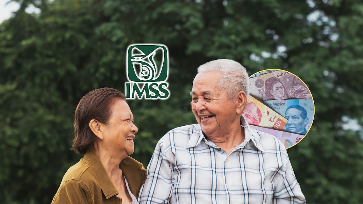 Pensión IMSS.