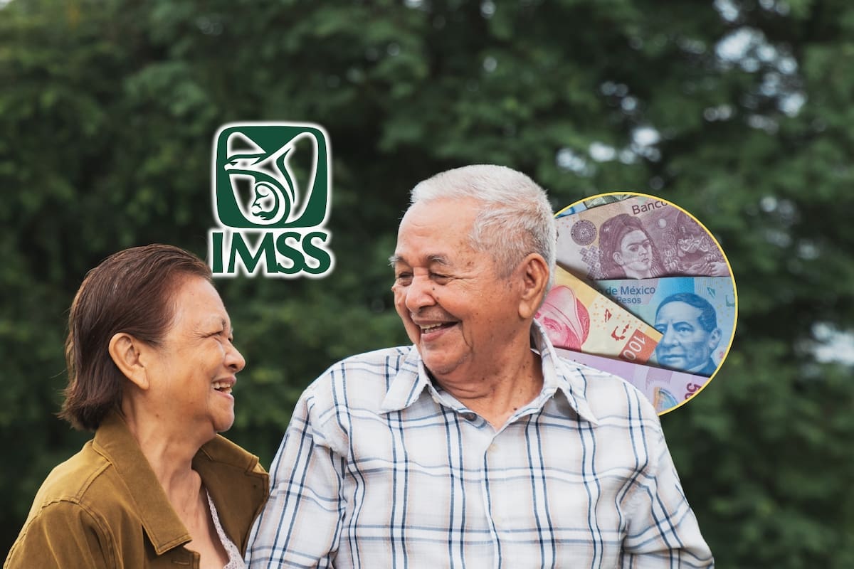 IMSS Ley 73: Así puedes aumentar tu pensión a partir de agosto 2025