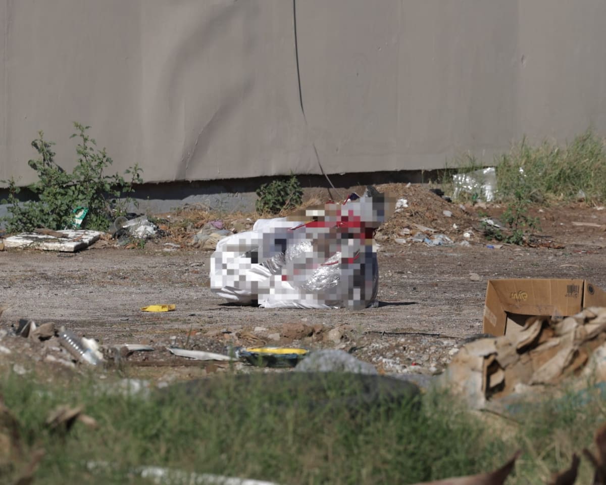 Foto: Javier Gallegos