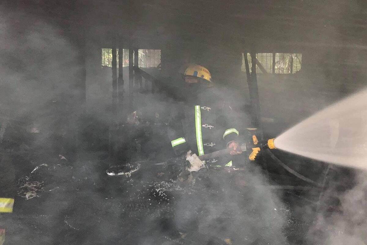 Mujer muere tratando de salvar a sus nueve perritos de un incendio