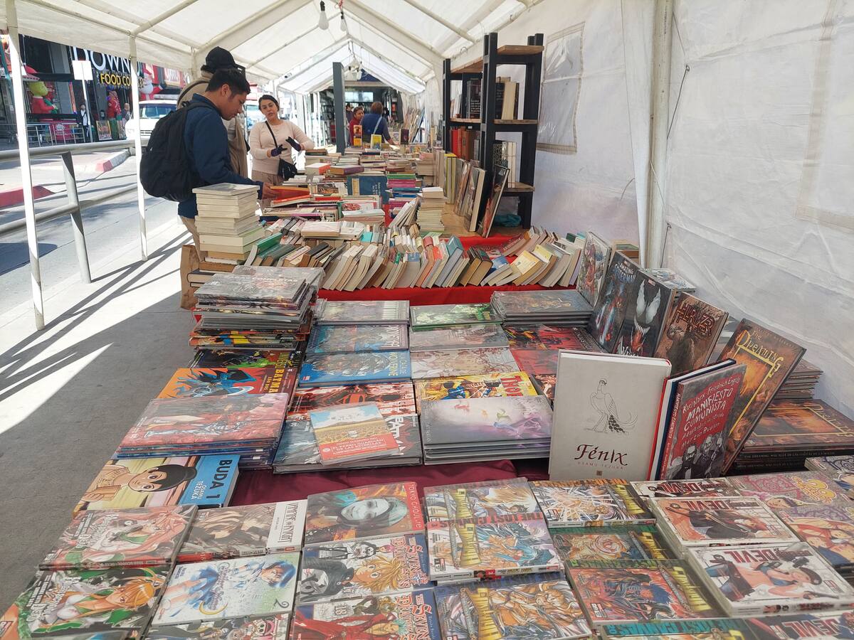 Feria del Libro Antiguo y de Ocasión