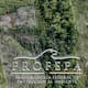Profepa clausura dos predios en Campeche por devastación de selva: más de 59 hectáreas afectadas