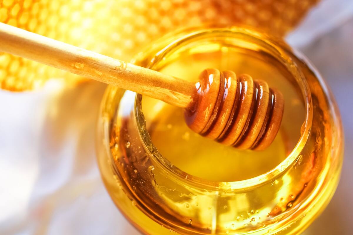 Oxford: miel de abeja sería más efectiva contra la tos y el resfriado que los antibióticos