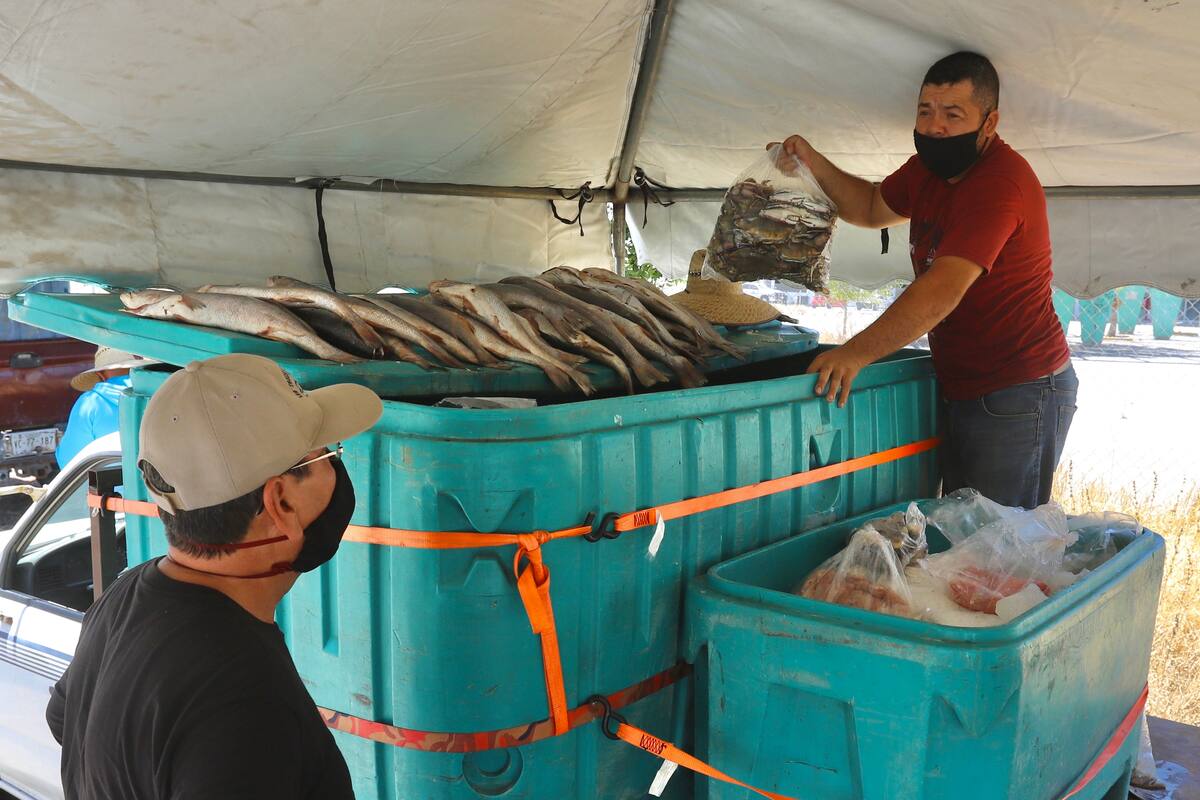 "Han sido meses difíciles, pero el apoyo de la gente nos aliviana": Pescadores de San Felipe
